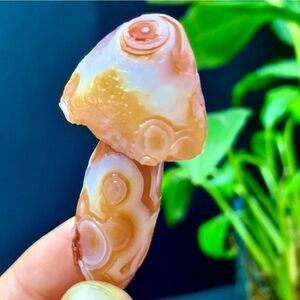 32G Natural Gobi Thousand Eyed Agate Mushroom Gemstone Reiki Chakra Healing NEW